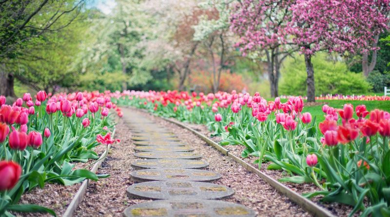 Optimisez l'entretien de votre jardin avec une pompe à eau électrique